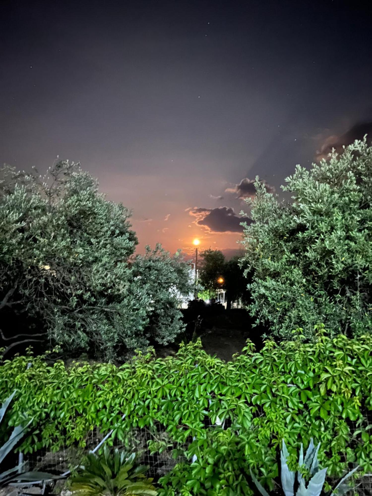 En Ethria Limenaria (Thasos) Exterior foto